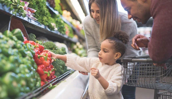 SNAP: Entiende Cómo Funciona y Quién Puede Aplicar