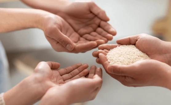 SNAP: Asistencia Alimentaria para Familias Necesitadas